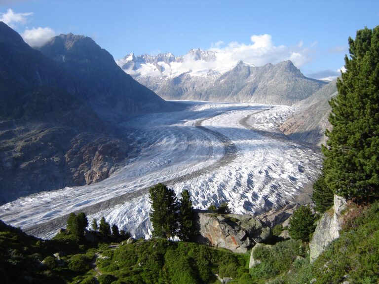 View of the Aletsch-moraine on a sunny day